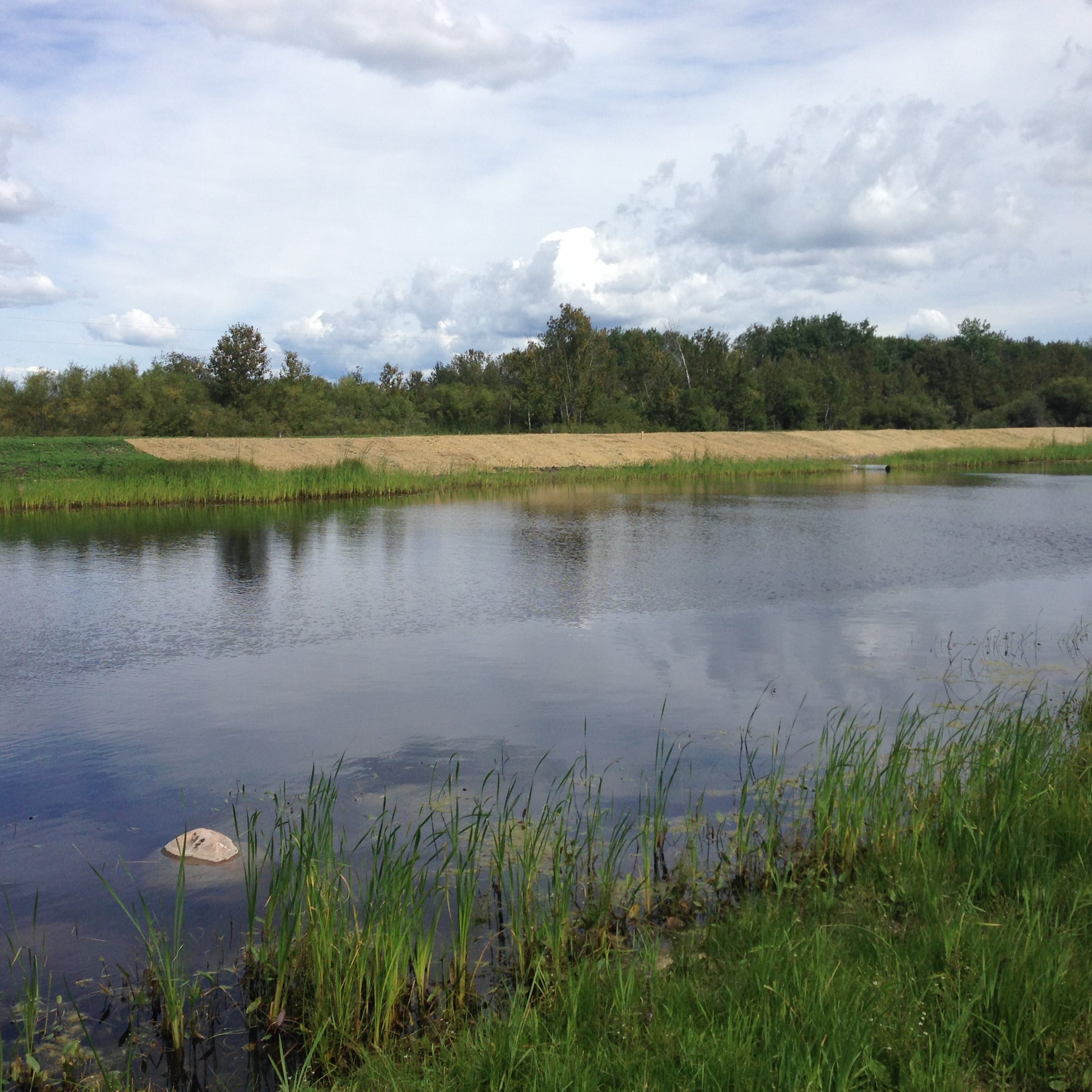 Water filled in the field